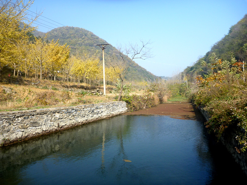 p1130201_.jpg