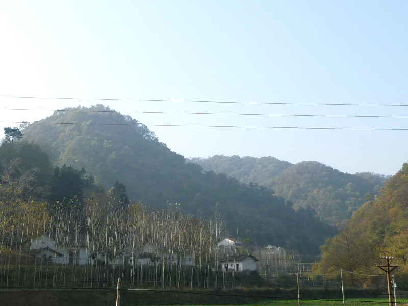 p1130226_.jpg