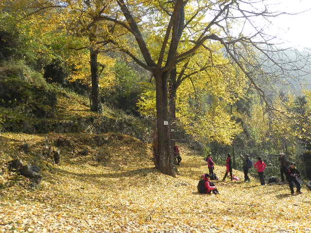 dscn1796.jpg