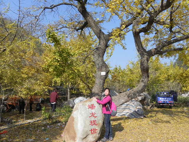 dscn1809.jpg