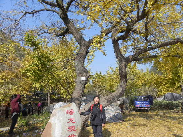 dscn1808.jpg