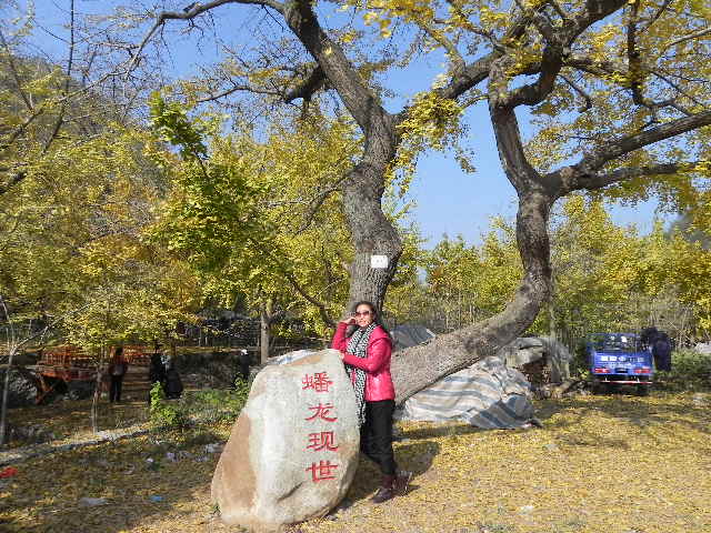 dscn1810.jpg