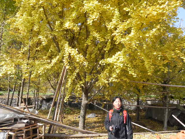 dscn1812.jpg