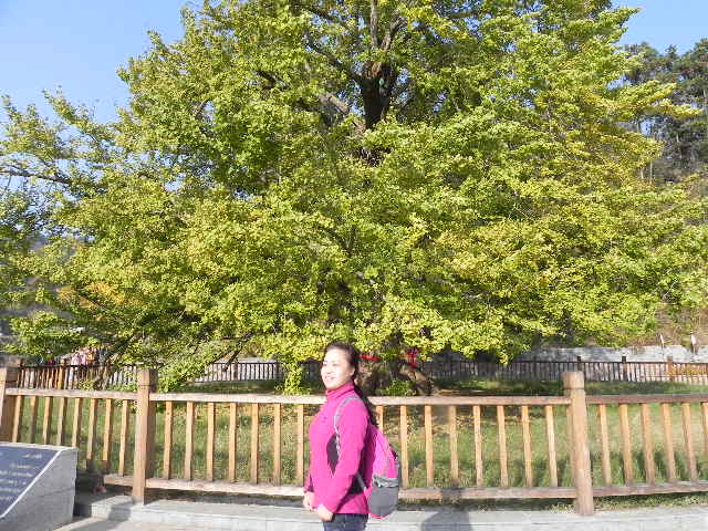 dscn1816.jpg