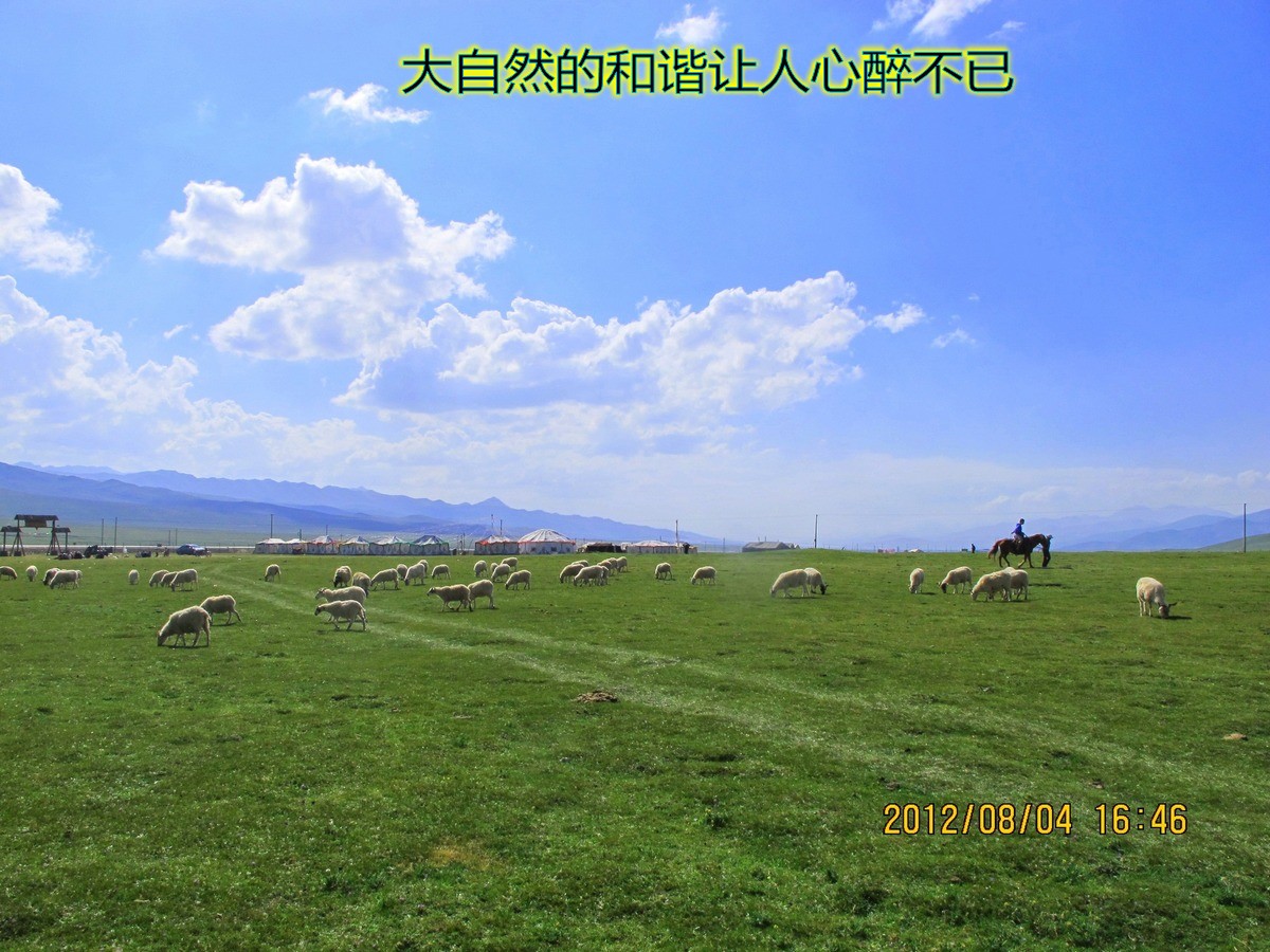 ԭ (22)_conew1.jpg
