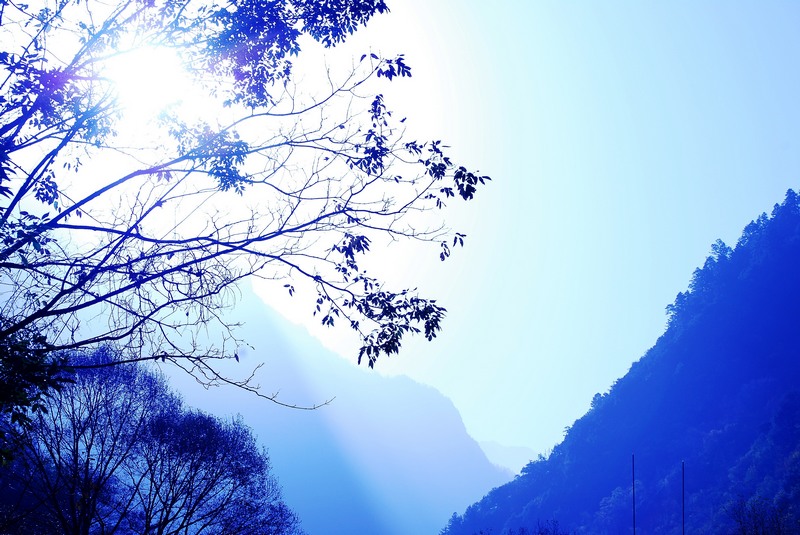 neo_img_Ȼ辰 018_conew1.jpg