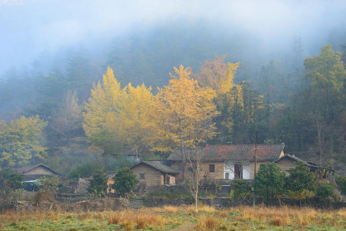 dsc_51120.jpg