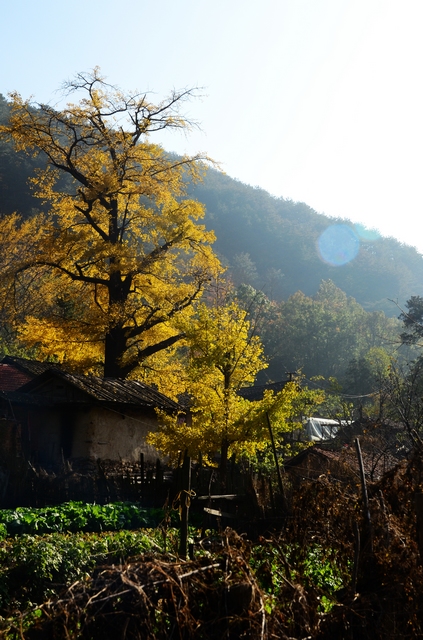 dsc_5701.jpg
