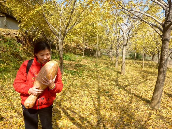 p1130198__.jpg