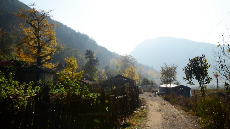 dsc_5704.jpg