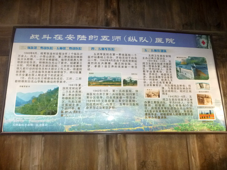 p1130236_.jpg