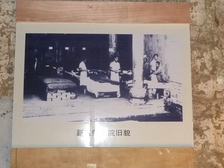 p1130232_.jpg