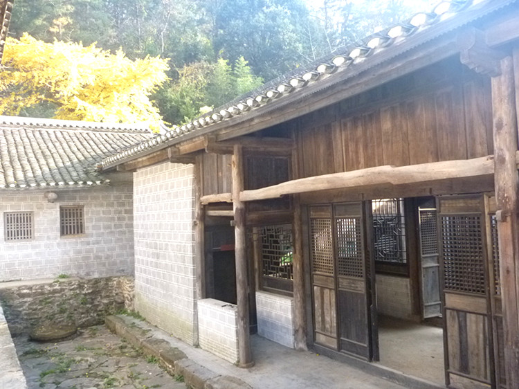 p1130231_.jpg