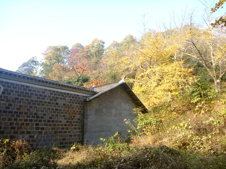 p1130237_.jpg