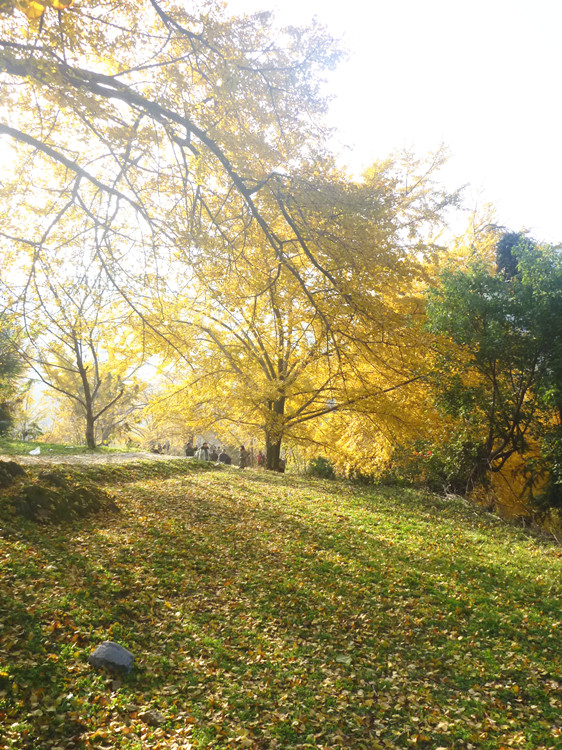 p1130241_.jpg