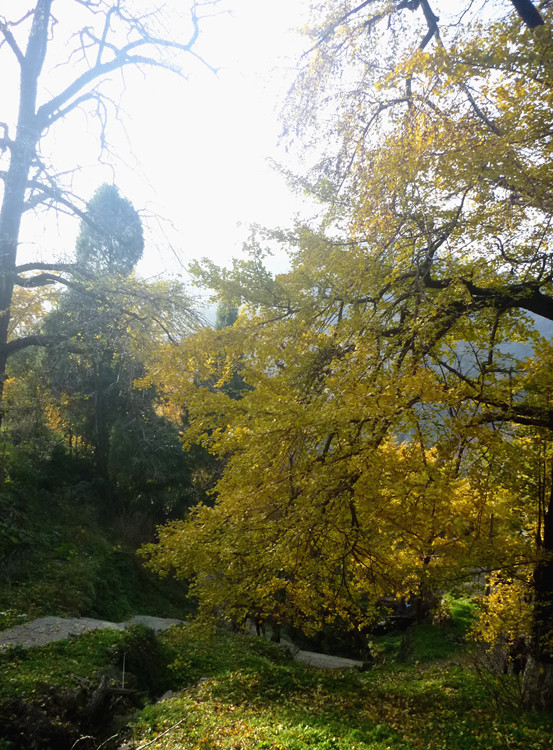 p1130240_.jpg