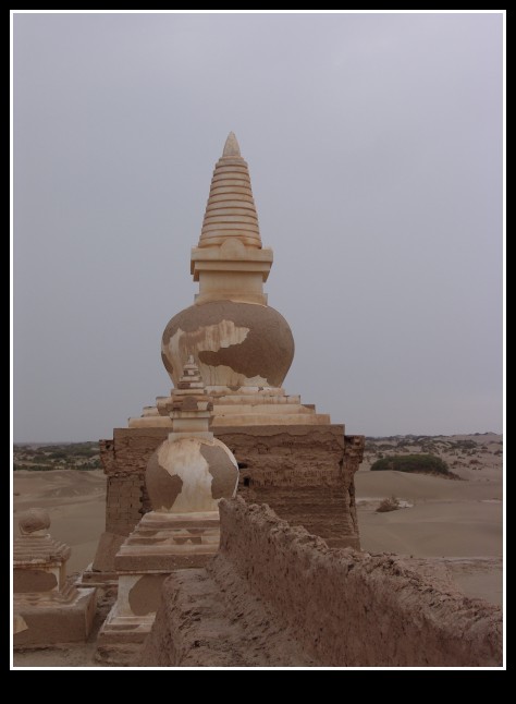 dsc00210_conew1.jpg