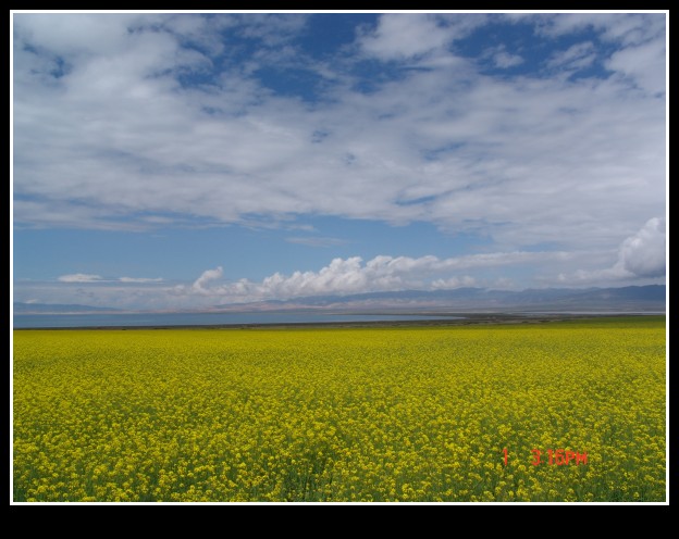 dsc01629_conew1.jpg