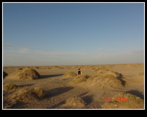 dsc01004_conew1.jpg