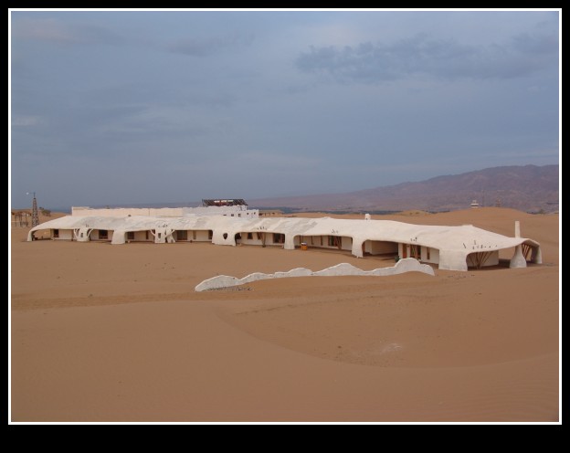 dsc09687_conew1.jpg