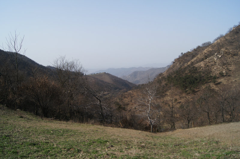 dsc02463.jpg