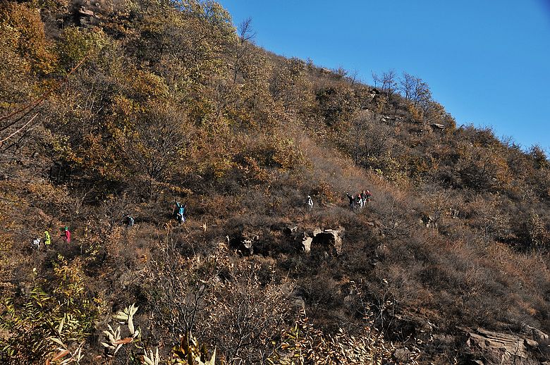 dsc_7766.jpg
