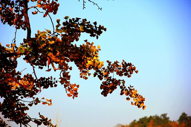 _mg_0013.jpg