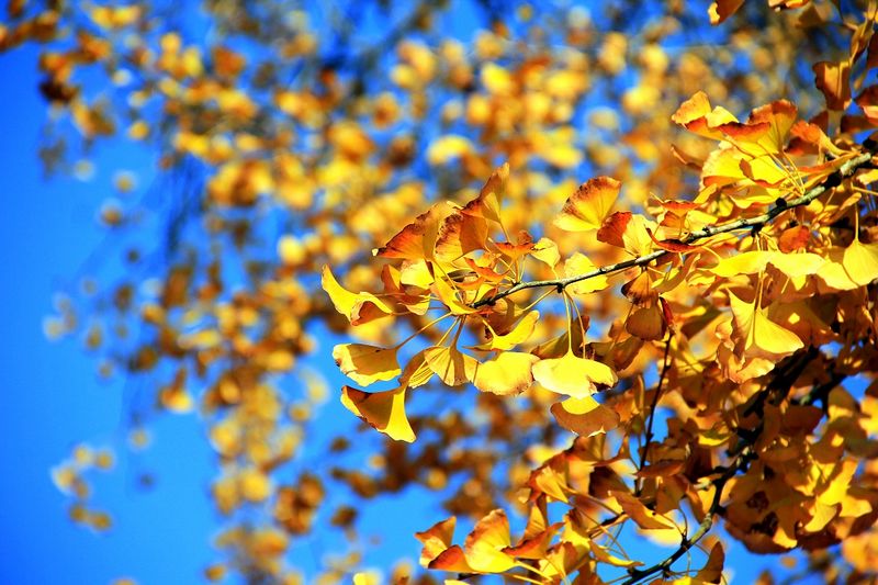 _mg_0014.jpg
