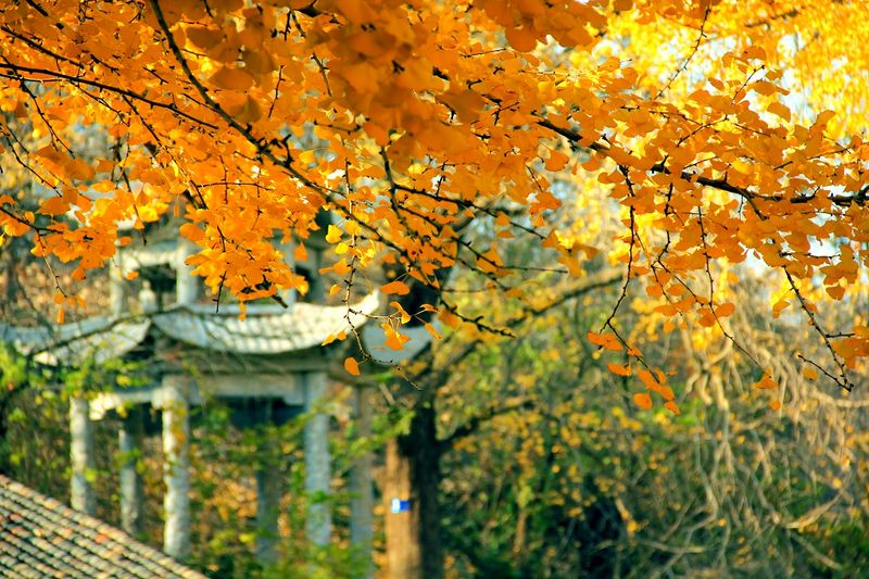 _mg_0031.jpg