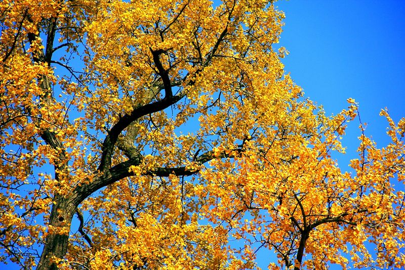 _mg_0038.jpg