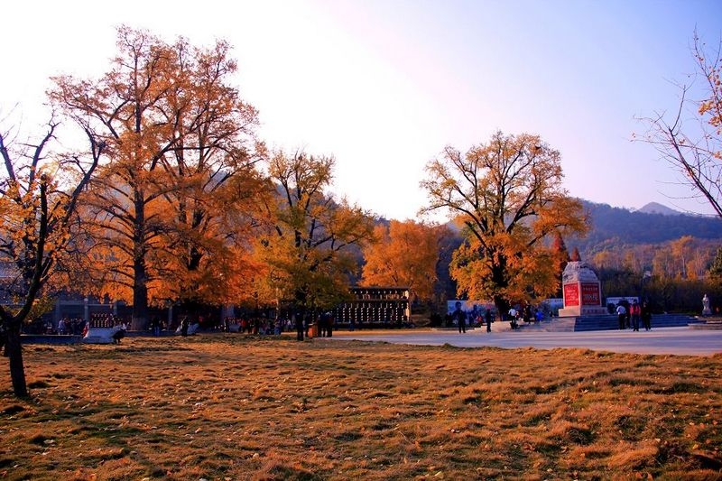 _mg_0275.jpg