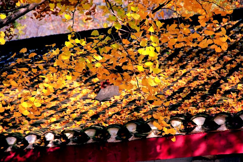 _mg_0305.jpg