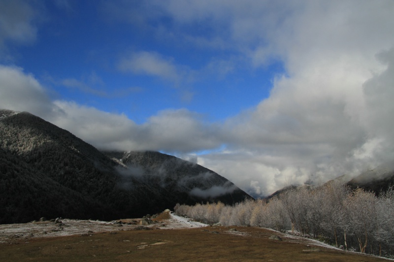 img_6643.jpg