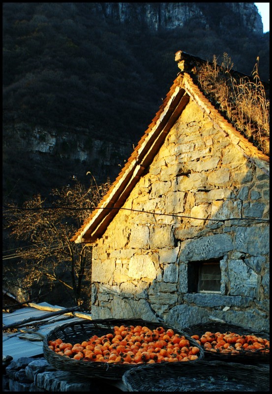 conew_dsc06005_conew1.jpg