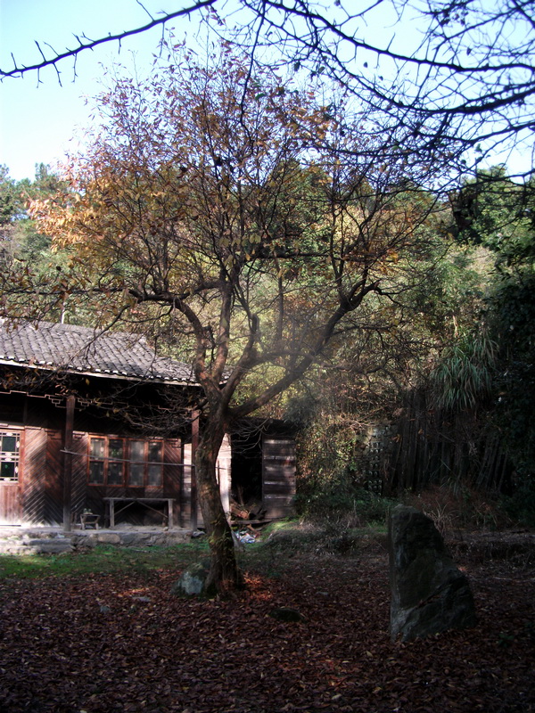 dscf0039.jpg