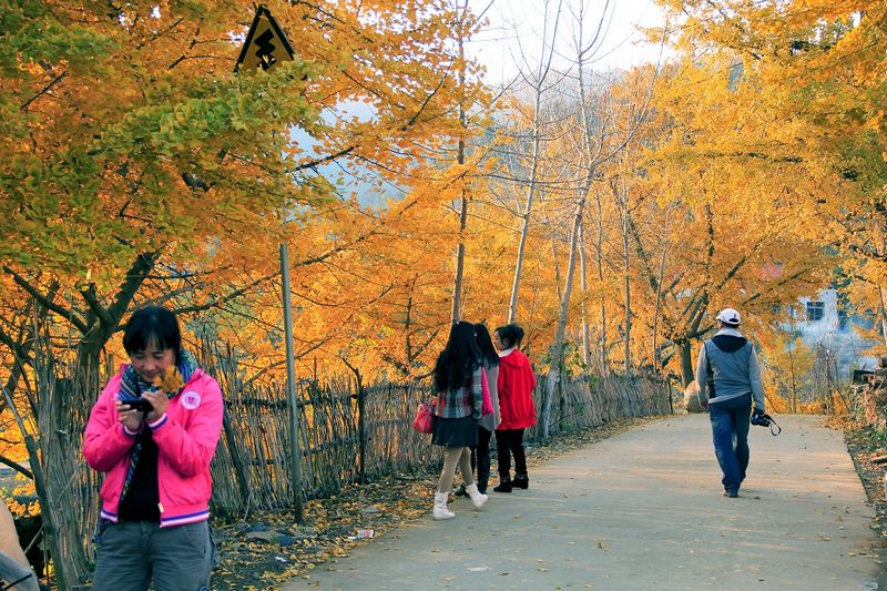 _mg_0327.jpg