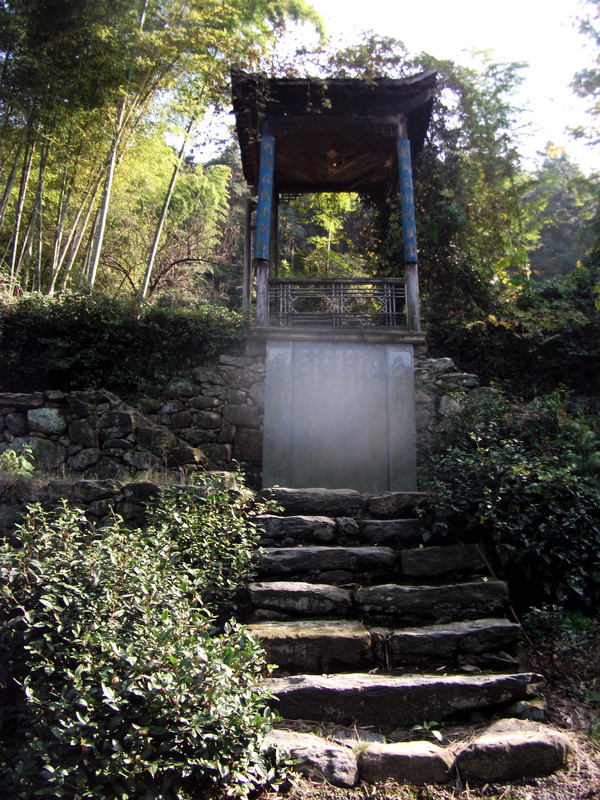 dscf0041.jpg