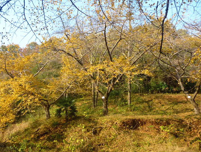 p1130239__.jpg