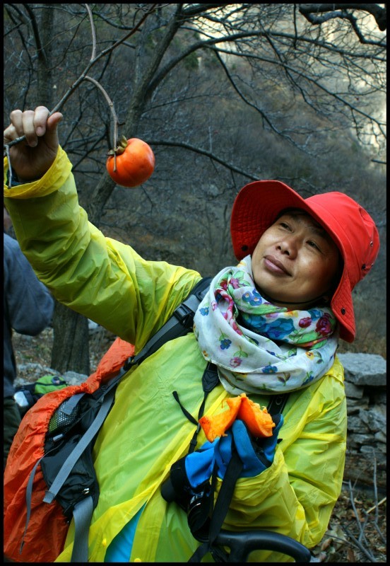 conew_dsc05960_conew1.jpg
