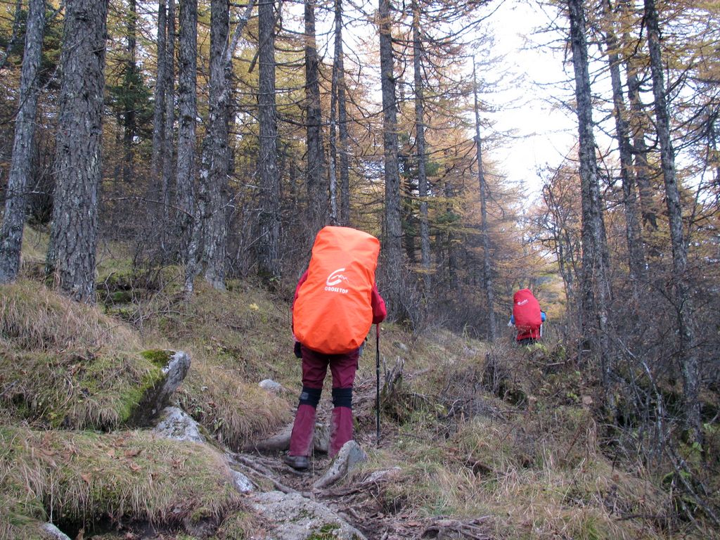 img_0379.jpg
