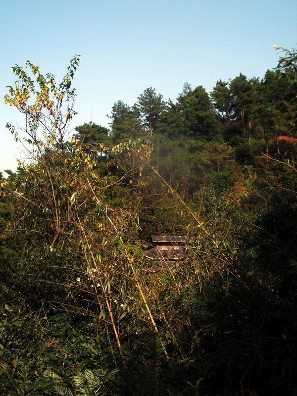 dscf0045.jpg