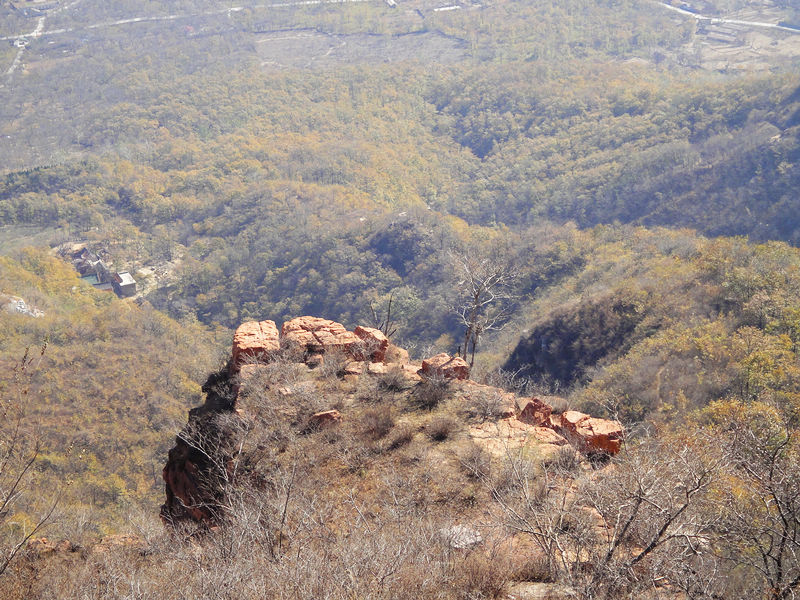 dsc08065.jpg