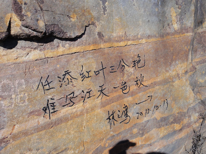 dsc08067.jpg