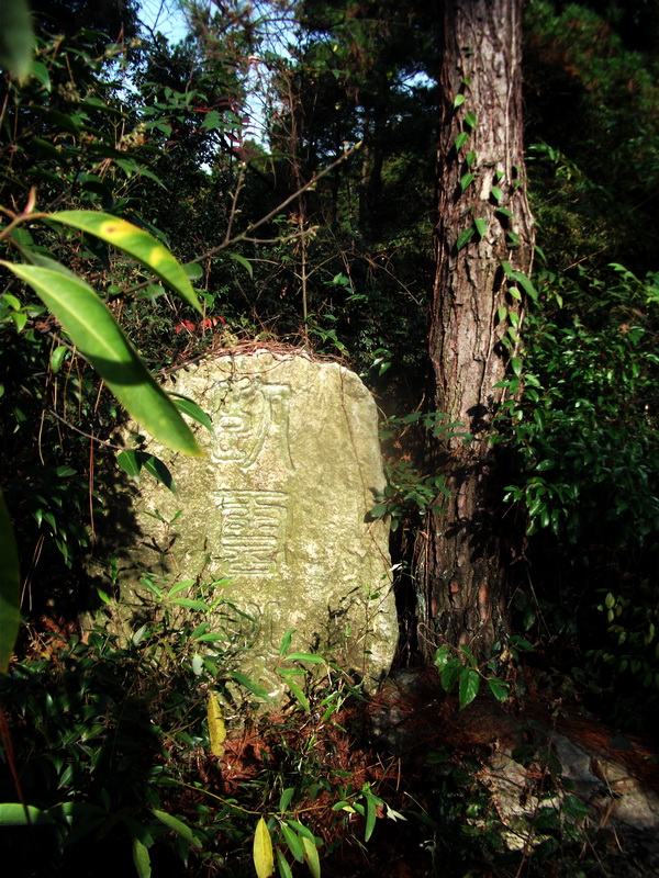 dscf0049.jpg