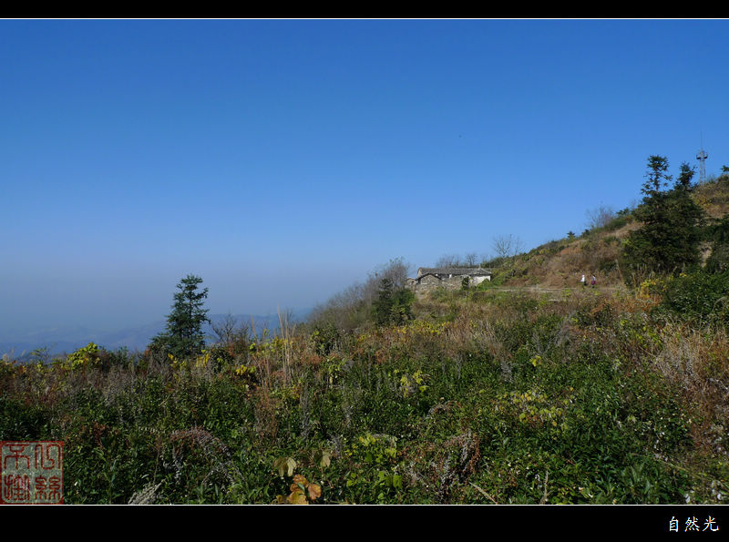 l1390317.jpg