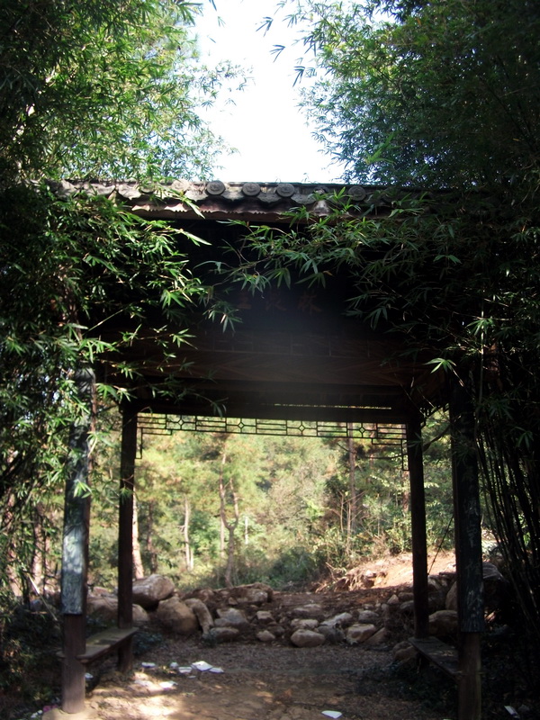 dscf0047.jpg