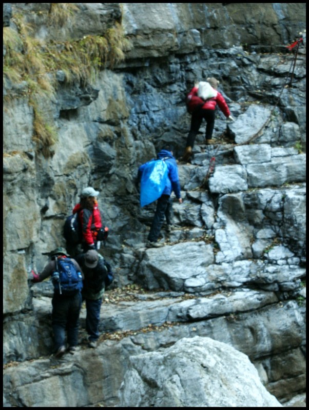 conew_dsc05912_conew1.jpg
