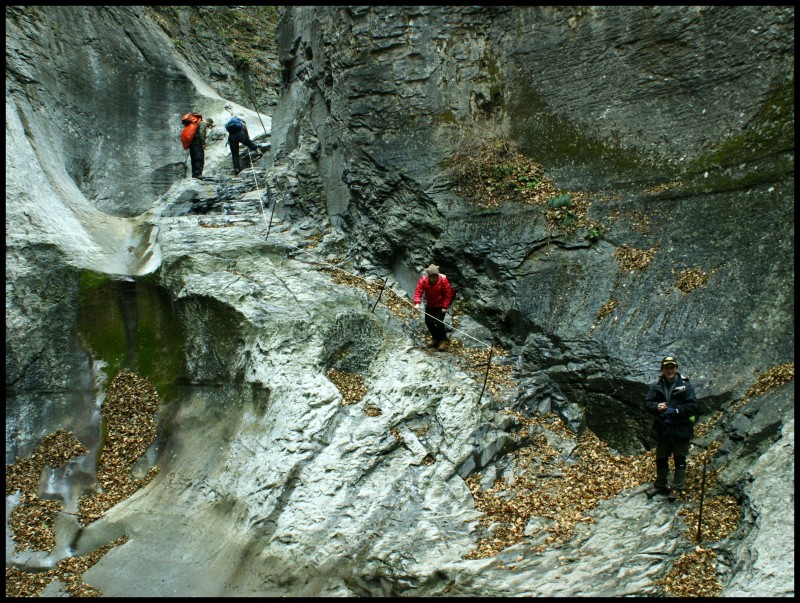 conew_dsc05887_conew1.jpg
