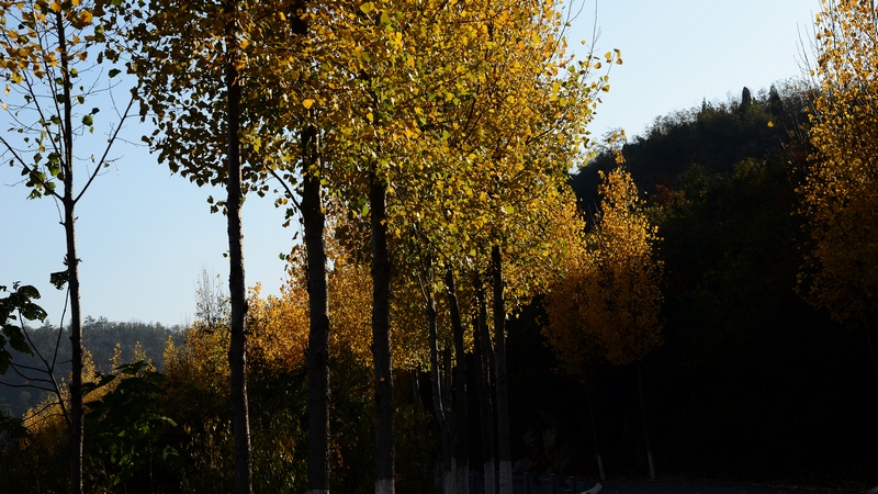 dsc_5473.jpg