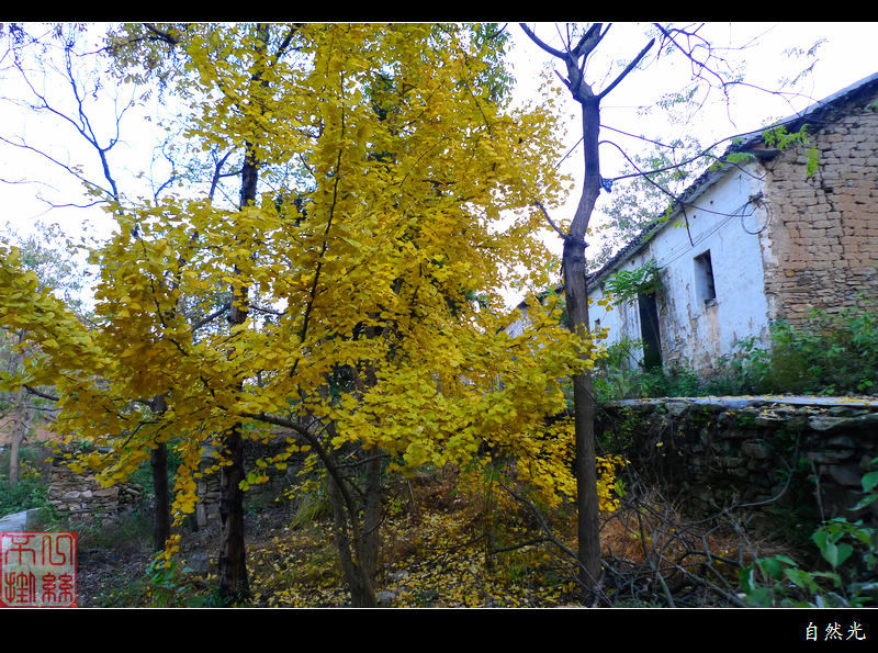 l1390435.jpg